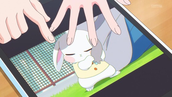 「わんだふるぷりきゅあ！」わんぷり 42話感想 (39)