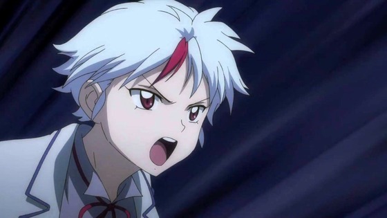 「半妖の夜叉姫」第3話感想 画像 (2)