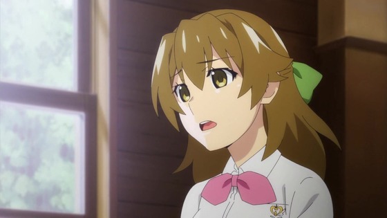 「ひぐらしのなく頃に 業」20話 感想 考察 (29)