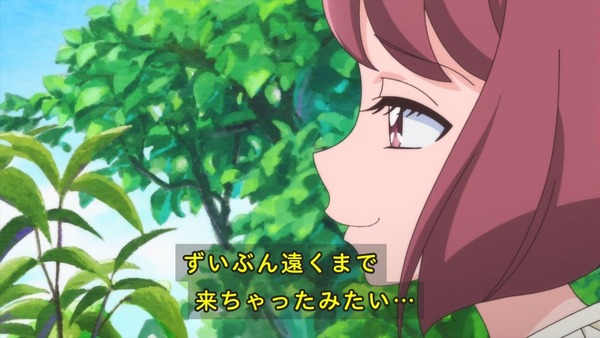 「ヒーリングっど♥プリキュア」1話感想 画像 (35)