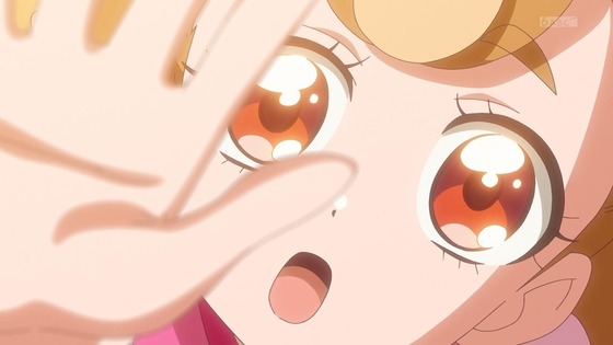 「わんだふるぷりきゅあ!」わんぷり 5話感想 (89)