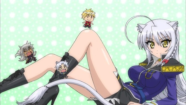 DOG DAYS (31)