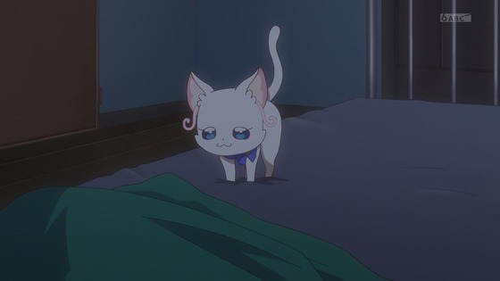 「わんだふるぷりきゅあ！」わんぷり 19話感想 (4)