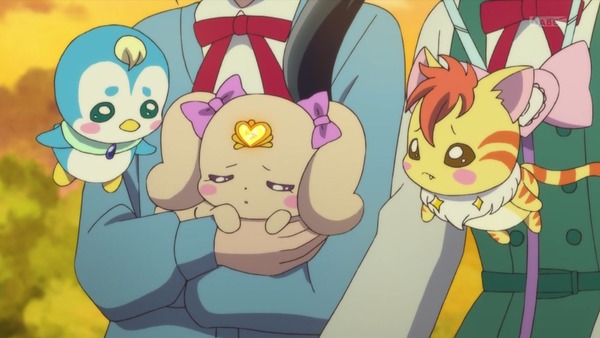 「ヒーリングっど♥プリキュア」11話感想 画像 (43)