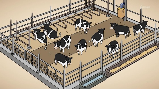 「百姓貴族」9話感想 (13)