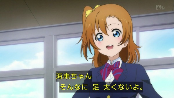 ラブライブ (15)