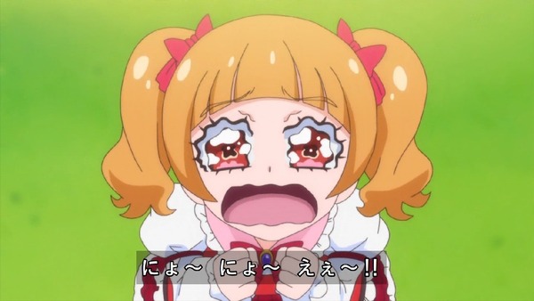 「HUGっと!プリキュア」40話感想 (63)