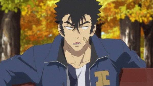 Dimension W (19)