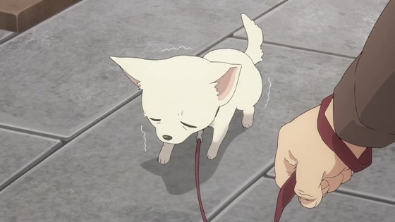 「SPY×FAMILY」3期 38話感想 (54)