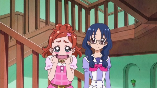プリンセスプリキュア (37)
