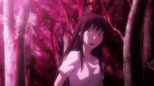 ノラガミ ARAGOTO (51)