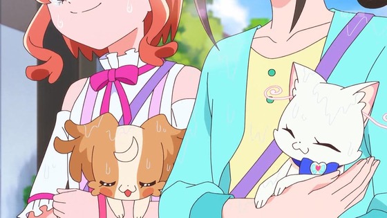 「わんだふるぷりきゅあ!」わんぷり 26話感想 (15)