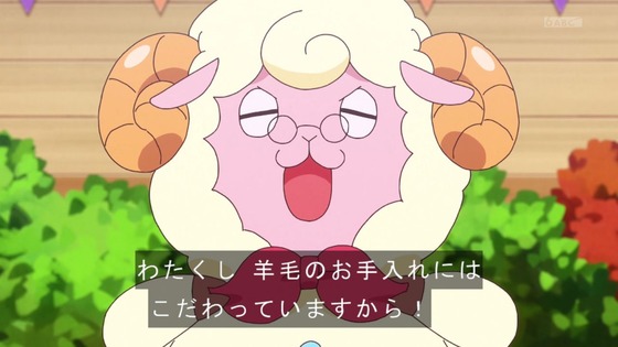 「わんだふるぷりきゅあ！」わんぷり 39話感想 (12)