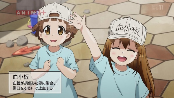 「はたらく細胞」7話感想 (27)