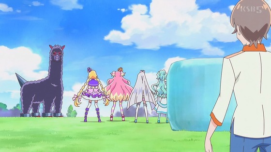 「わんだふるぷりきゅあ!」わんぷり 28話感想 (38)