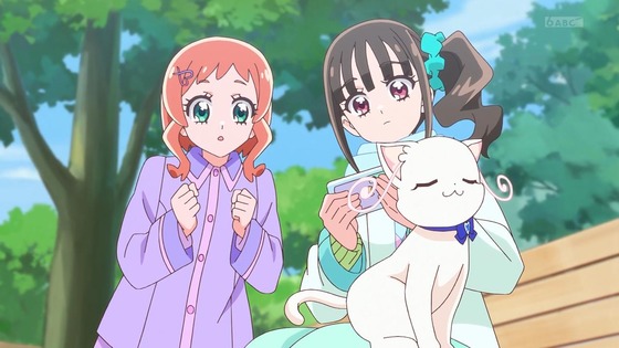 「わんだふるぷりきゅあ!」わんぷり 50話感想 (55)
