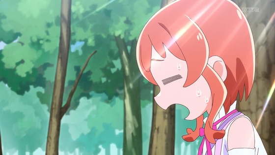 「わんだふるぷりきゅあ!」わんぷり 26話感想 (1)