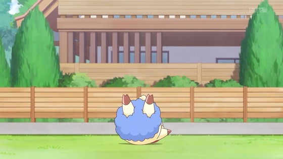 「わんだふるぷりきゅあ!」わんぷり 50話感想 (78)