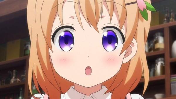 ご注文はうさぎですか？？ (25)