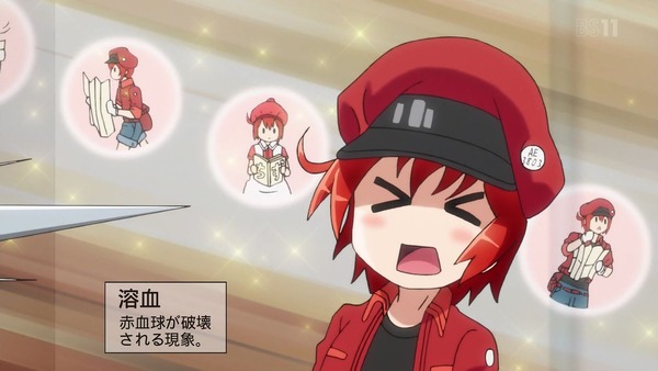 「はたらく細胞」8話感想 (6)