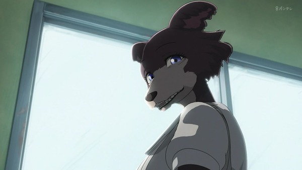 「BEASTARS ビースターズ」第12話 画像 (45)