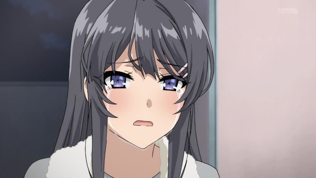「青春ブタ野郎」10話感想 (144)