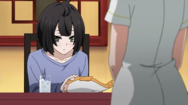 アクティヴレイド  (24)