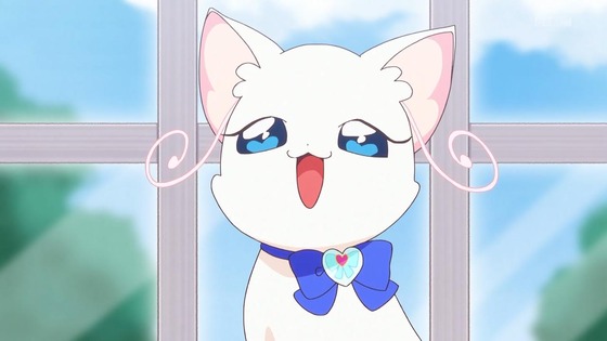 「わんだふるぷりきゅあ!」わんぷり 17話感想 (6)