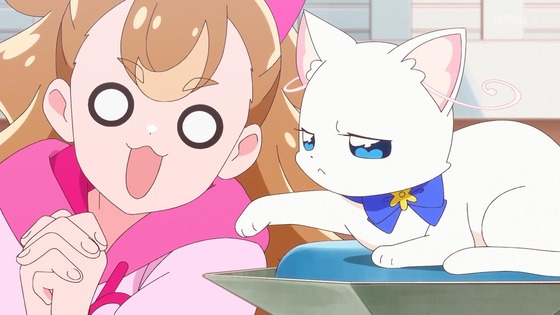 「わんだふるぷりきゅあ!」わんぷり 4話感想 (74)