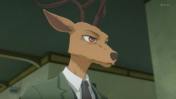 「BEASTARS」1話感想 (21)