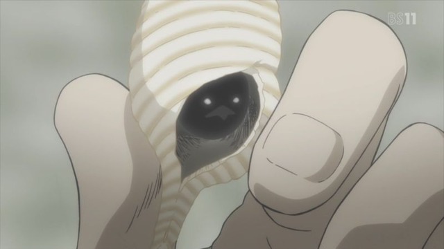 2 (2)