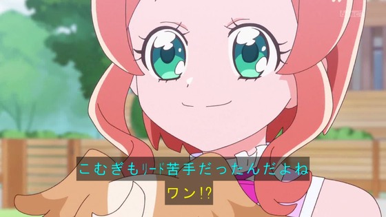 「わんだふるぷりきゅあ!」わんぷり 5話感想 (14)