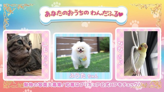 「わんだふるぷりきゅあ!」わんぷり 40話感想 (53)