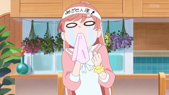 「ひろがるスカイ！プリキュア」ひろプリ 41話感想 (18)