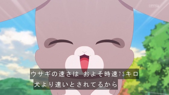 「わんだふるぷりきゅあ!」わんぷり 40話感想 (47)