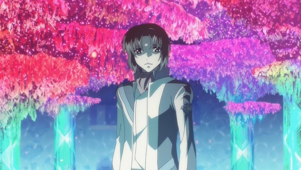 蒼穹のファフナー (45)