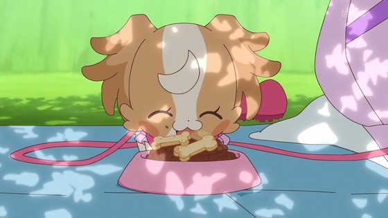 「わんだふるぷりきゅあ!」わんぷり 17話感想 (22)
