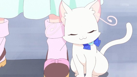 「わんだふるぷりきゅあ!」わんぷり 33話感想 (55)