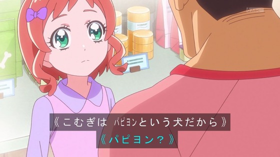 「わんだふるぷりきゅあ!」わんぷり 5話感想 (33)
