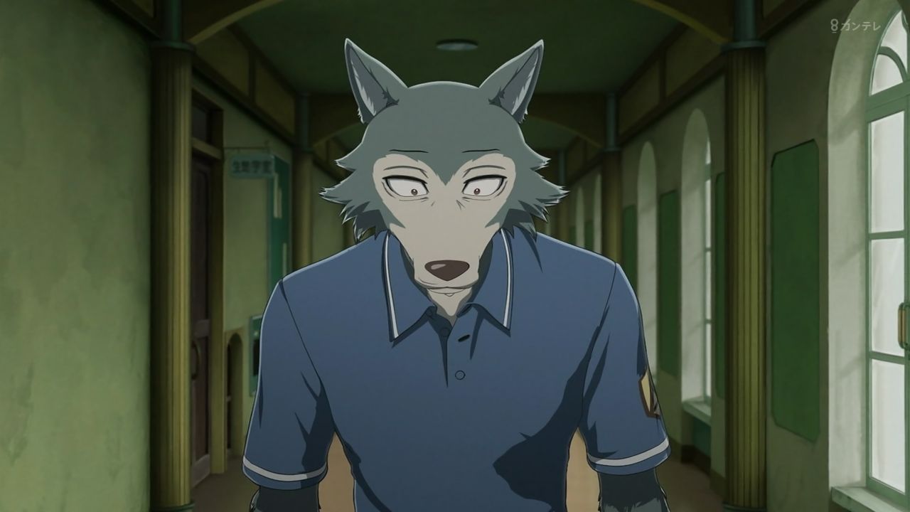 Beastars 6話感想 ジュノ登場 裏市で倒れたレゴシはゴウヒンさんと出会う 愛と欲望の境界線 純粋はどちらか 画像 ビースターズ ポンポコにゅーす ファン特化型アニメ感想サイト Beastars 6話感想 ジュノ登場 裏市で倒れたレゴシはゴウヒンさんと出会う 愛と欲望の境界線 純粋はどちらか 画像 ビースターズ ポンポコにゅーす ファン特化型アニメ感想サイト