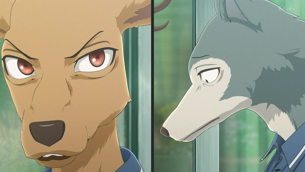 「BEASTARS」7話感想 (28)