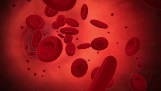 「東島丹三郎は仮面ライダーになりたい」1話感想 (61)