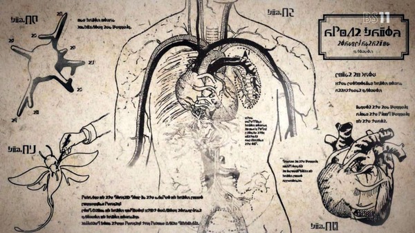 「Fairy gone フェアリーゴーン」1話感想 (1)
