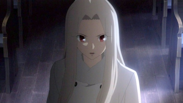 FateZero (19)