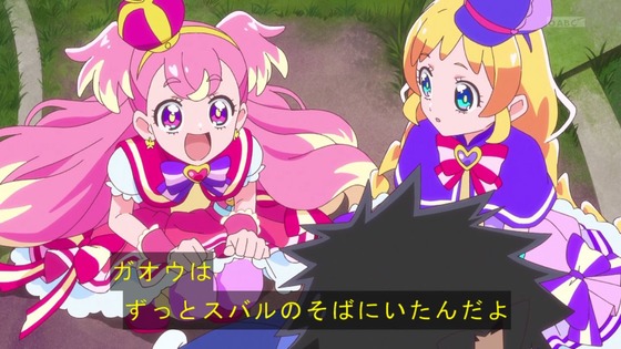 「わんだふるぷりきゅあ!」わんぷり 50話感想 (4)