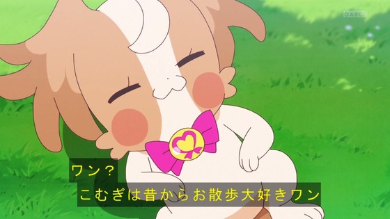 「わんだふるぷりきゅあ!」わんぷり 4話感想 (66)
