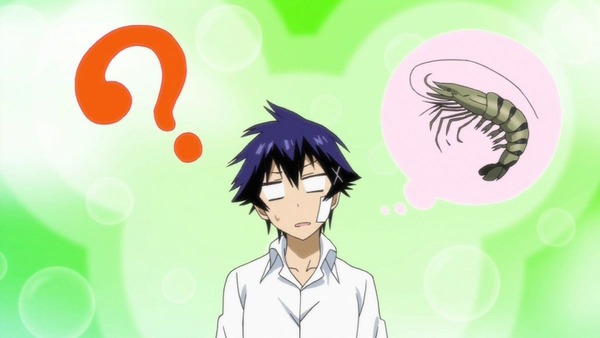ニセコイ: (21)