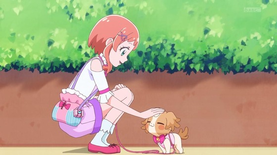 「わんだふるぷりきゅあ!」わんぷり 4話感想 (35)