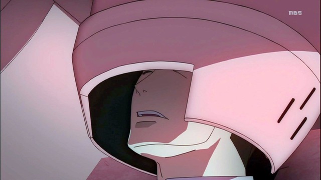 15 (17)