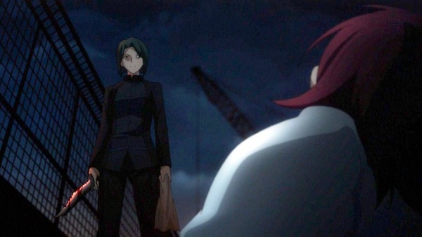 FateZero (5)